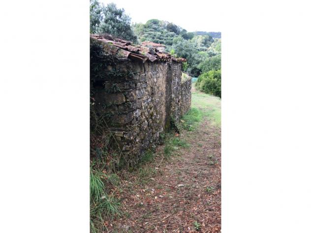 Casa di campagna in Località Carullo - Foto 5
