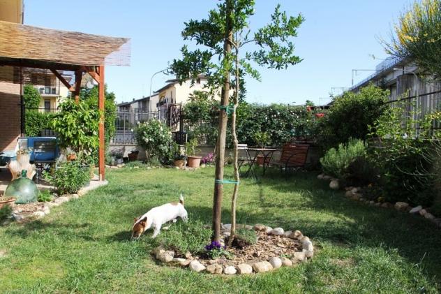 Allerona (Scalo) - Vendesi appartamento in perfette condizioni con giardino
