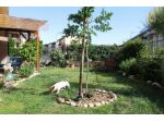 Allerona (Scalo) - Vendesi appartamento in perfette condizioni con giardino
