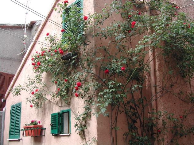 Trilocale Ischia di Castro (Viterbo) - Foto 2