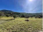Agricolo in frasso telesino
