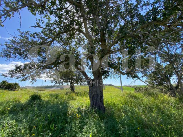 Terreno Agricolo - Noto . Rif.: cod. rif6042943VRG - Foto 11