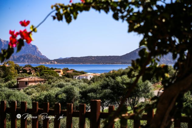 Trilocale a Pittulongu - Olbia Splendida vista mare