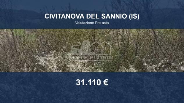 Immobile in asta di 58450 m² in vendita a Civitanova del Sannio