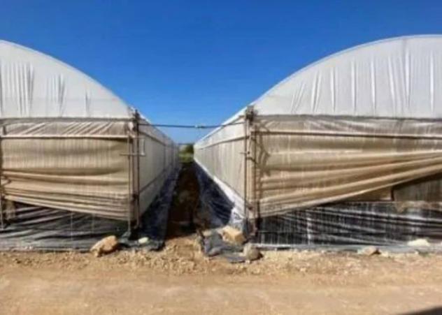 Immobile in asta di 36611 m² in vendita a Portopalo di Capo Passero - Foto 3