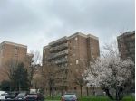 BOX IN AFFITTO