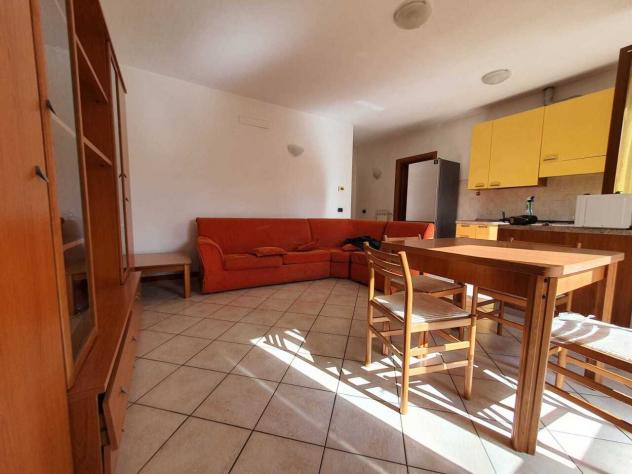 Bilocale in affitto a Samarate - Foto 3