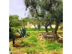Masseria Faraone