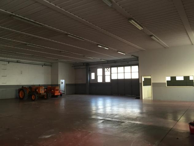 Capannone commerciale in vendita a Grosseto 470 mq Rif: 1369646