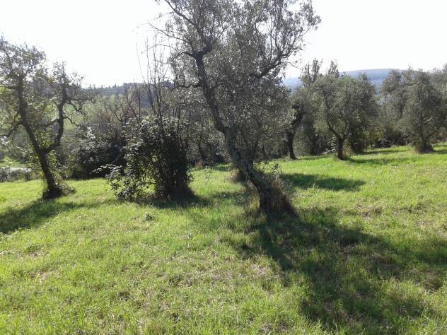 Terreno edificabile in vendita a Casciana Terme Lari - Foto 7