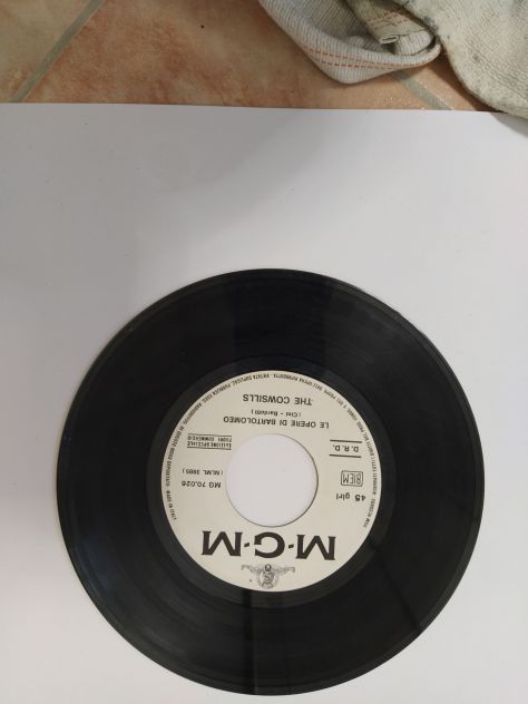 R84 -  THE COWSILLS VOLA CON NOI