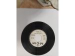 R84 -  THE COWSILLS VOLA CON NOI