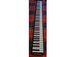 Tastiera Roll Up piano 88 Key