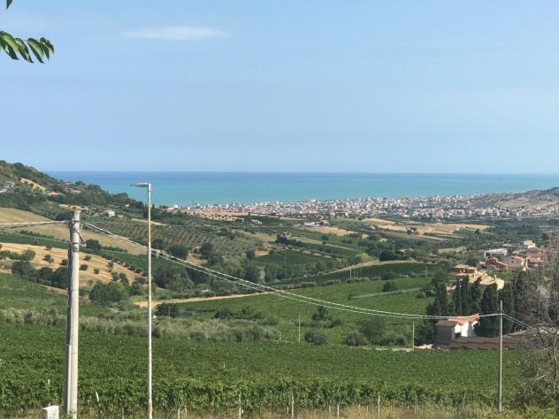 Agricolo in vendita a Colonnella