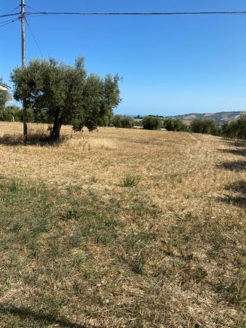 Agricolo in vendita a Colonnella - Foto 15
