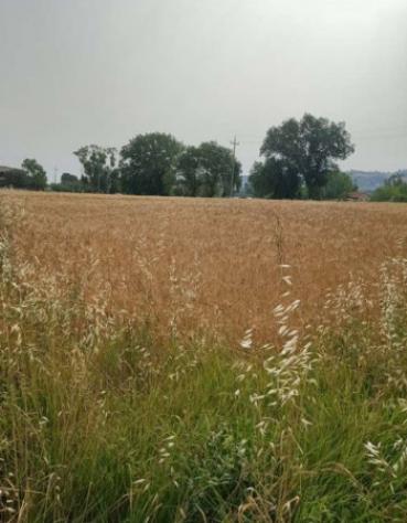 Immobile in asta di 21767 m² in vendita a Monte Porzio - Foto 7