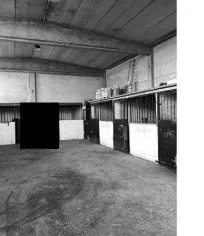 Immobile in asta di 13857 m² in vendita a Torre de' Negri - Foto 15