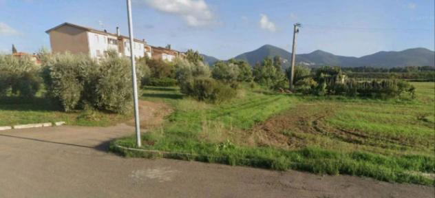 Immobile in asta di 3906 m² in vendita a Scarlino - Foto 4