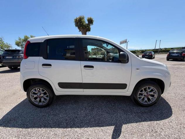 FIAT Panda 0.9 TwinAir Turbo S&S 4x4 Pop Van 2 posti rif. 23685307 - Foto 3