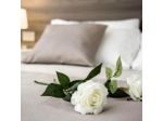 Camelot Appartamenti - Business & Holiday
