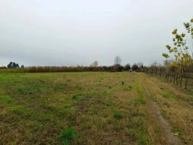 Immobile in asta di 8489 m² in vendita a Marcallo con Casone - Foto 9