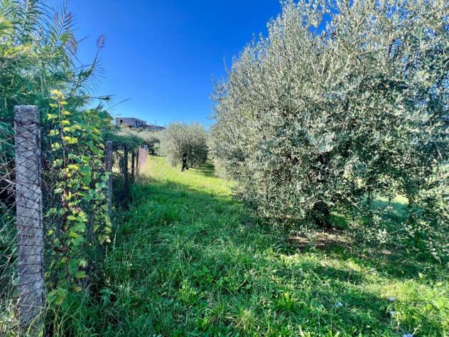 Agricolo in Via Colle Rasto - Foto 2