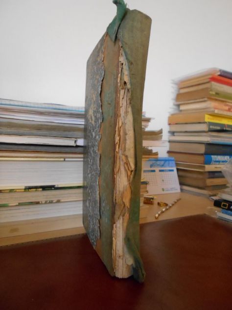 Libro:Il viaggio di un ignorante...1857 - Foto 3