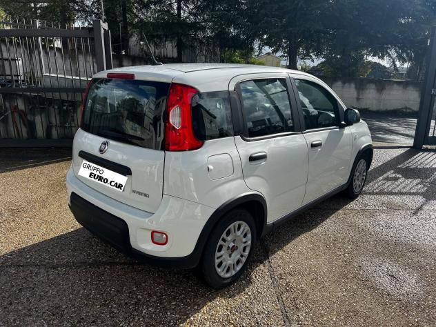 FIAT Panda Panda 1.0 firefly hybrid s&s 70cv 5p.ti - Foto 6