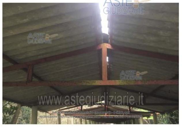 IMMOBILI-IMMOBILE INDUSTRIALE-Via Piano Rosso, 04012 Cisterna di Latina LT, Italia - Foto 3