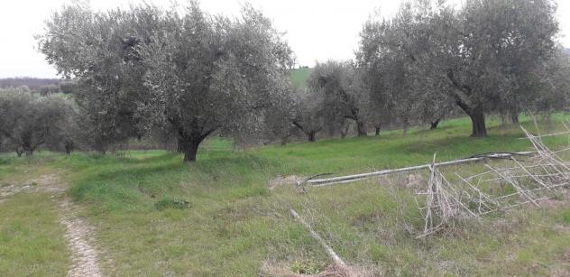 Rustico in vendita a Manciano 800 mq Rif: 1035606 - Foto 4