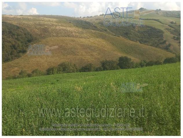IMMOBILI-ALTRA CATEGORIA-Via Caselle, Mondaino RN, Italia - Foto 4