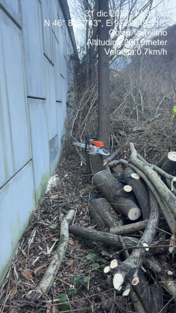 Cerco lavoro pulizia uliveti giardinaggio - Foto 2