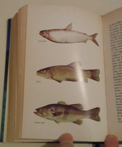 Il libro della pesca in acque dolci, Renzo Portalupi, 1979. - Foto 9