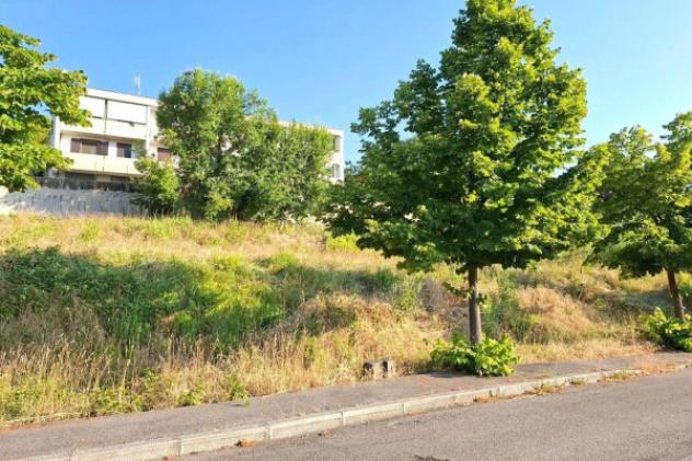 Immobile in asta di 485 m² in vendita a Bertinoro - Foto 3