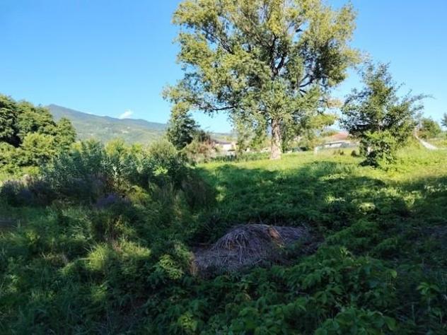 Terreno agricolo in vendita a Poveromo - Massa 1300 mq Rif: 1394710
