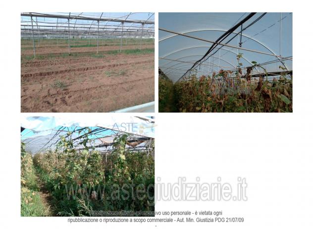 IMMOBILI-ALTRA CATEGORIA-Via Sant Isidoro, Sabaudia LT, Italia - Foto 3