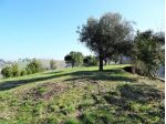 Agricolo in affitto a Senigallia