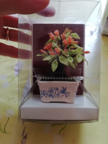 bonsai - Foto 5