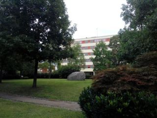 POLO SCIENTIFICO RIZZI - 1 posto per studentessa