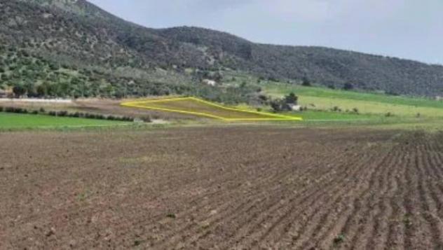 Immobile in asta di 31670 m² in vendita a Rignano Garganico - Foto 2