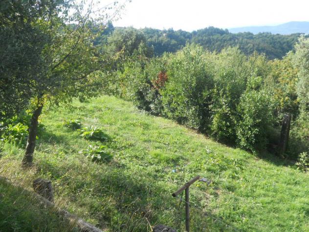 Agricolo in vendita a Sarzana