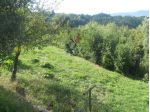 Agricolo in vendita a Sarzana