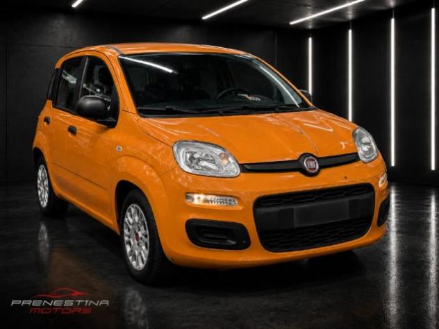 FIAT Panda 1.0 FireFly S&S Hybrid rif. 23725226 - Foto 2