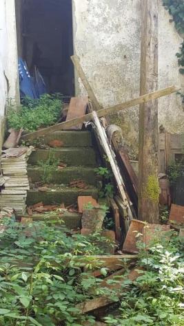 Borgo S.Lorenzo fabbricati mq 660 e 38 Ha terreno - Foto 3