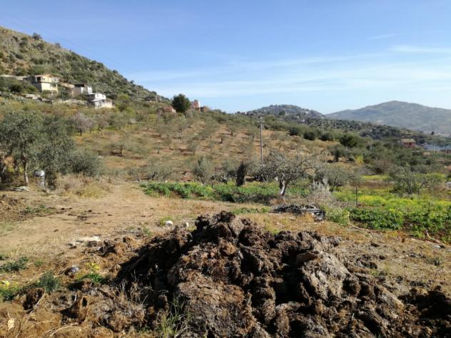 Agricolo in SP126 - Foto 12