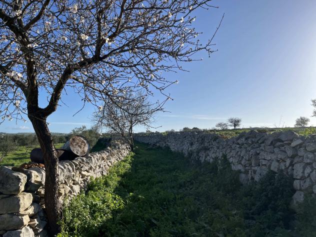 Agricolo in Contrada Renna - Foto 8