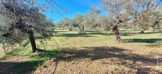 Magazzino in vendita a Loreto Aprutino - Foto 14