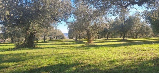 Magazzino in vendita a Loreto Aprutino - Foto 12