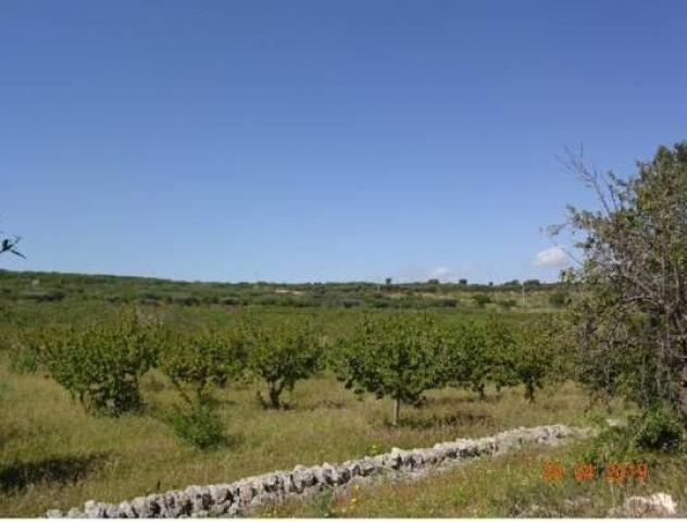 Agriturismo in vendita a Castellana Grotte - Foto 6