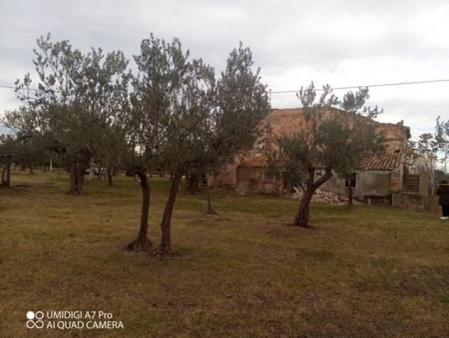 Rustico in vendita a Fossacesia - Foto 14